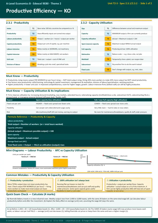 Page 1 of the Productive Efficiency preview